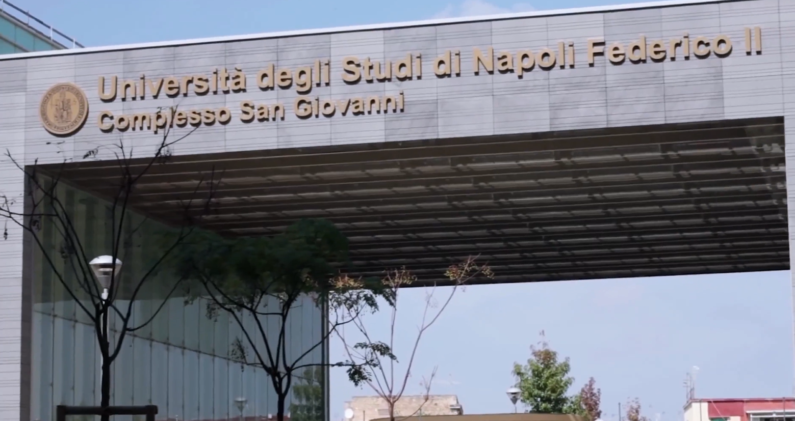 华为波分解决方案助力那不勒斯费德里科二世大学拥抱数智化