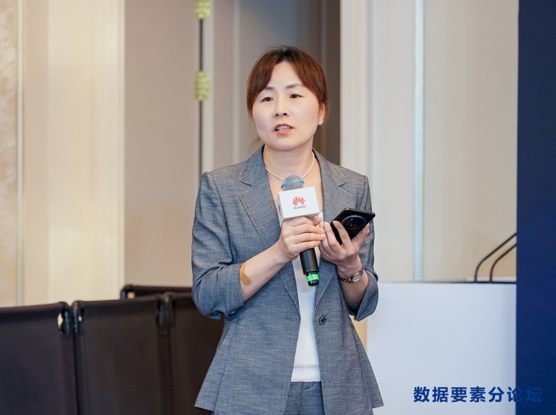 合肥大数据资产运营有限公司总会计师、正高级审计师韩苹