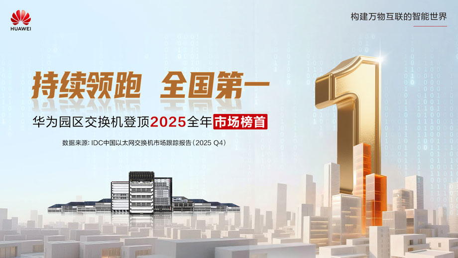 2025年年度中国园区交换机市场份额第一